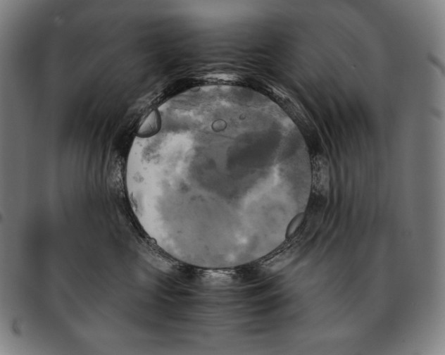 X0000095120573200801041226