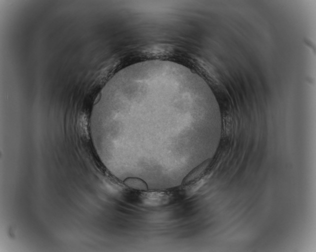 X0000095120575200801041226