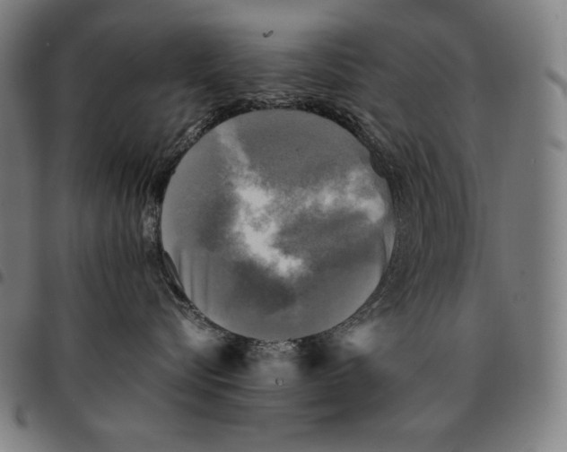 X0000095120576200801041226