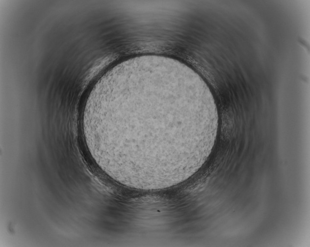 X0000095120578200801041225