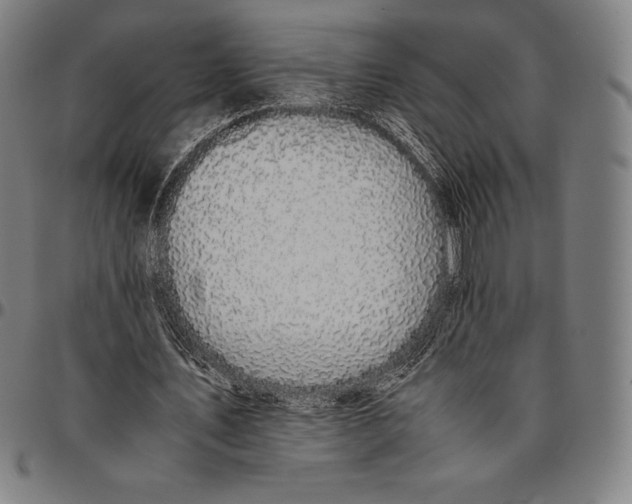 X0000095120579200801041225