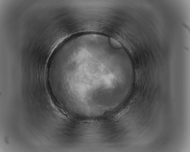 X0000095120580200801041225