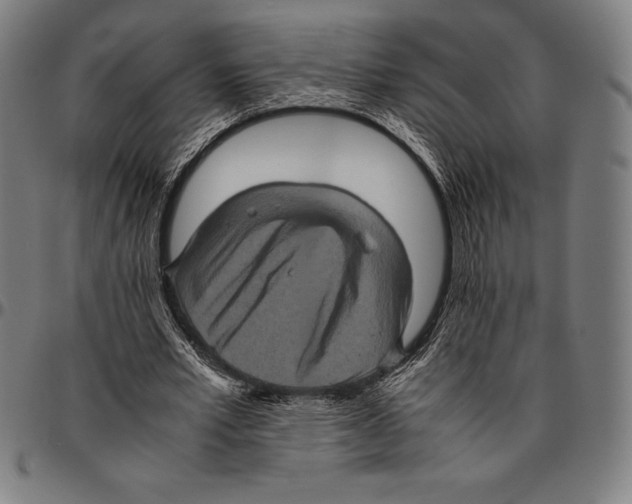 X0000095120581200801041225