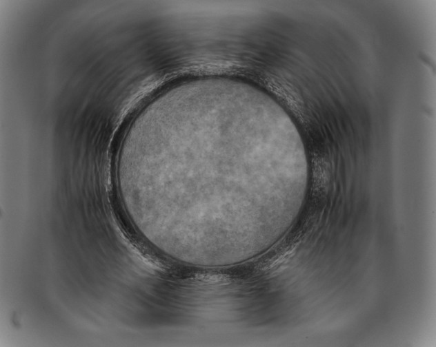 X0000095120582200801041225