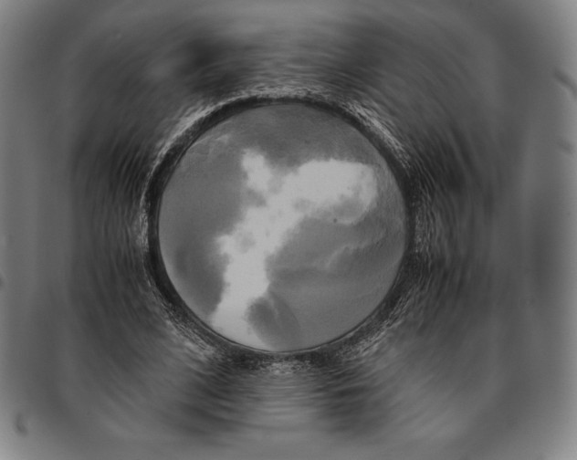 X0000095120584200801041225