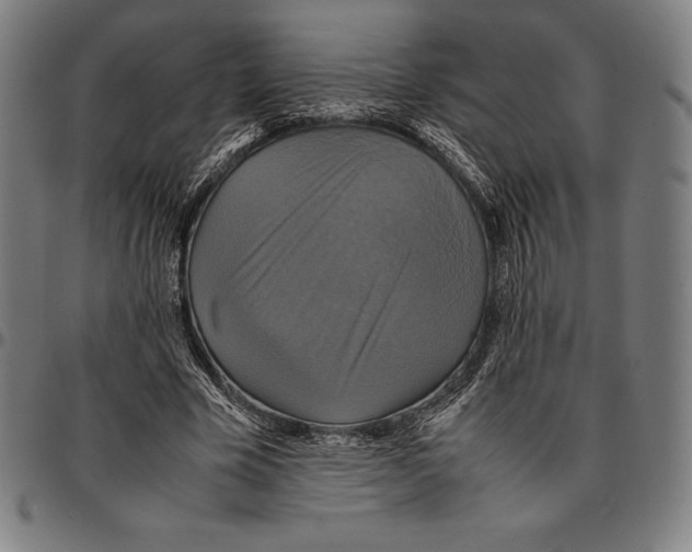 X0000095120585200801041225