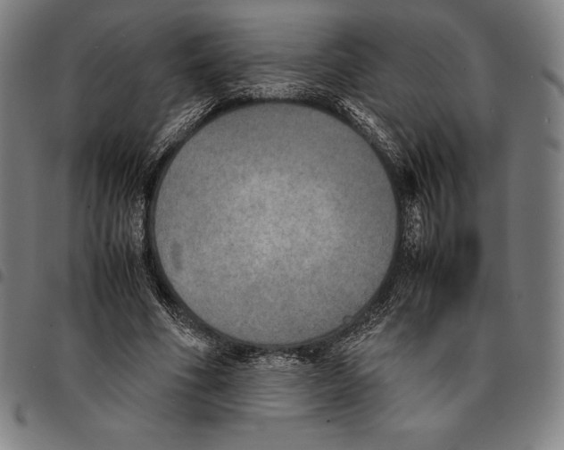 X0000095120586200801041225