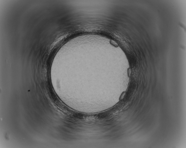 X0000095120587200801041225