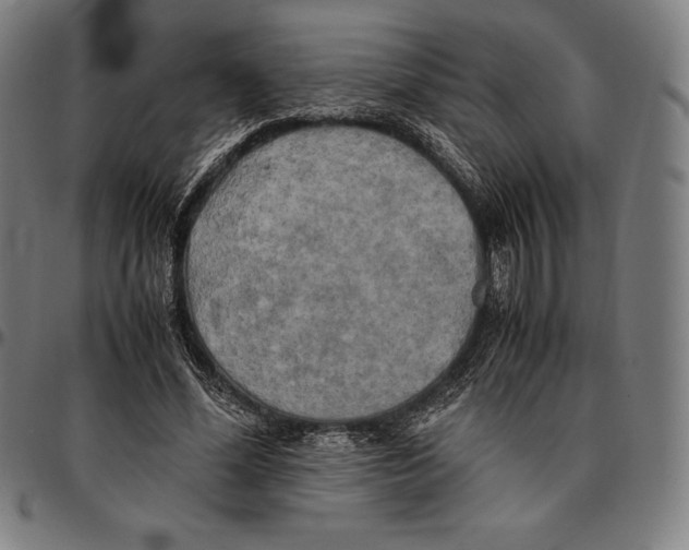 X0000095120588200801041225