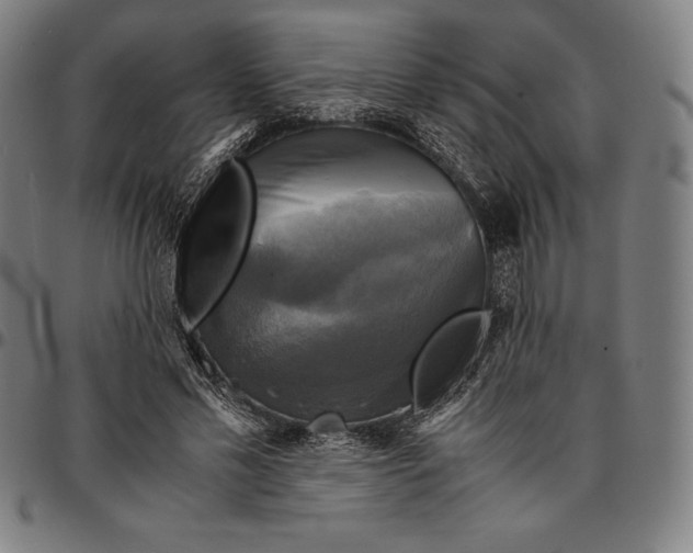 X0000095120589200801041225