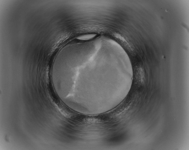 X0000095120590200801041225