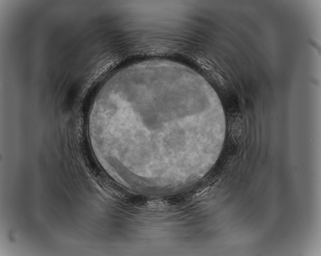 X0000095120591200801041225