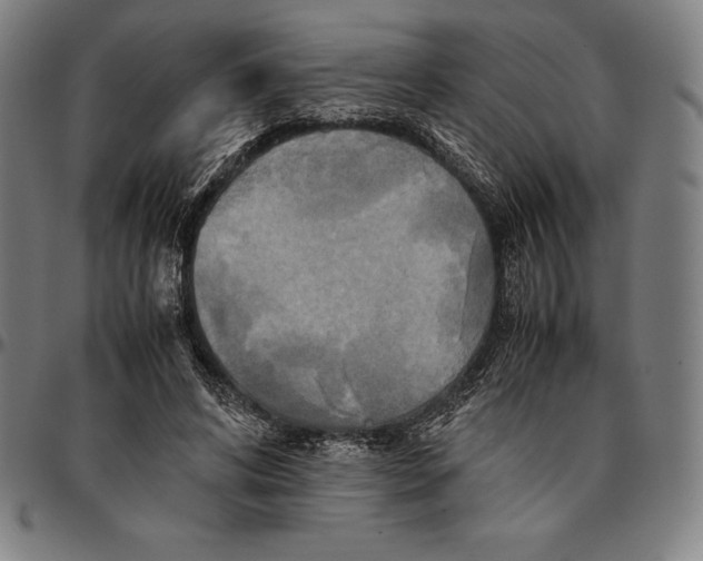 X0000095120592200801041225