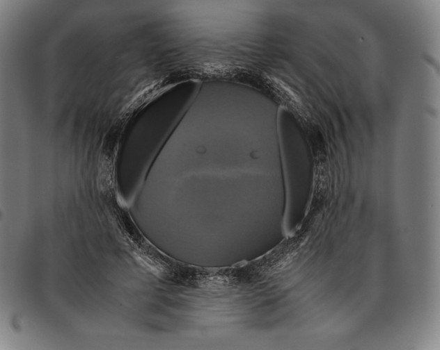 X0000095120593200801041225