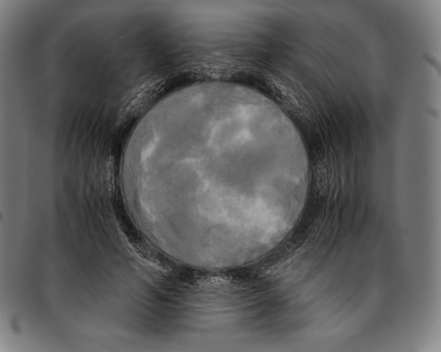 X0000095120594200801041225