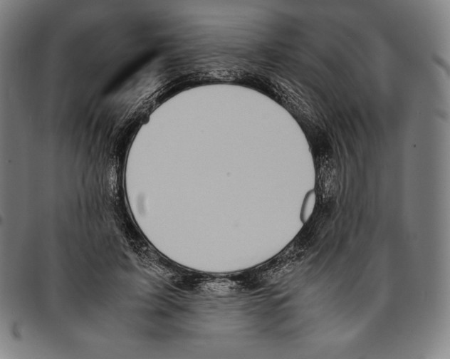 X0000095120595200801041225