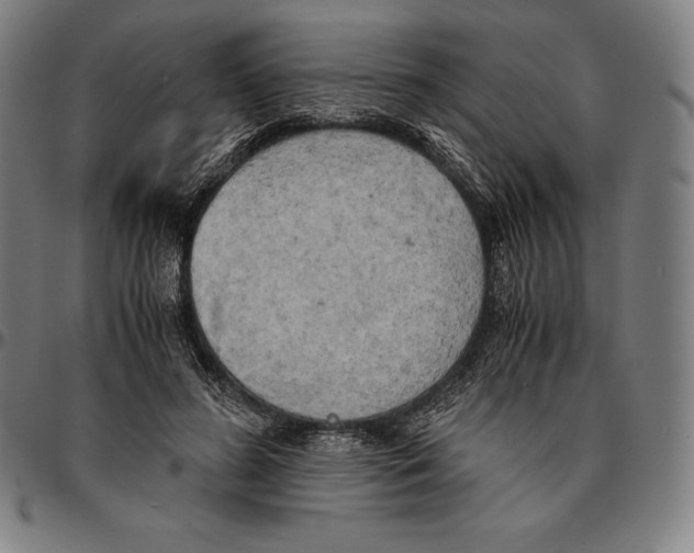 X0000095120596200801041225