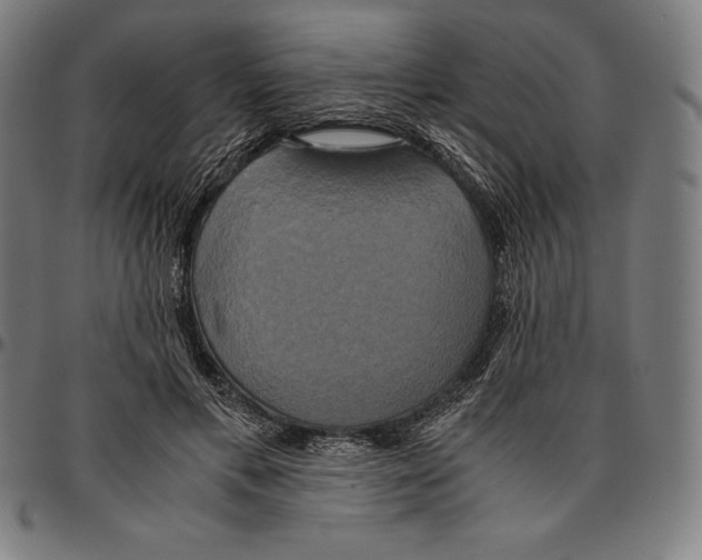 X0000095120597200801041225