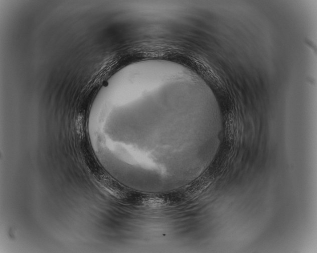 X0000095120598200801041225