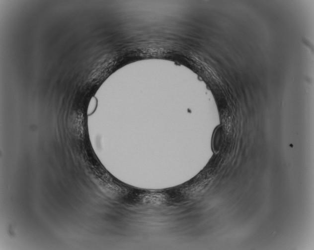 X0000095120599200801041225