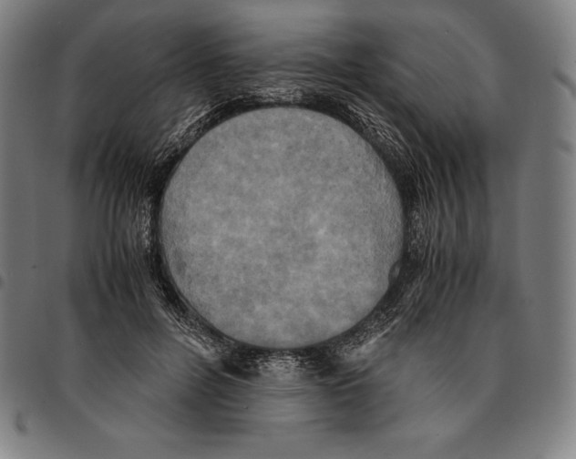 X0000095120600200801041225