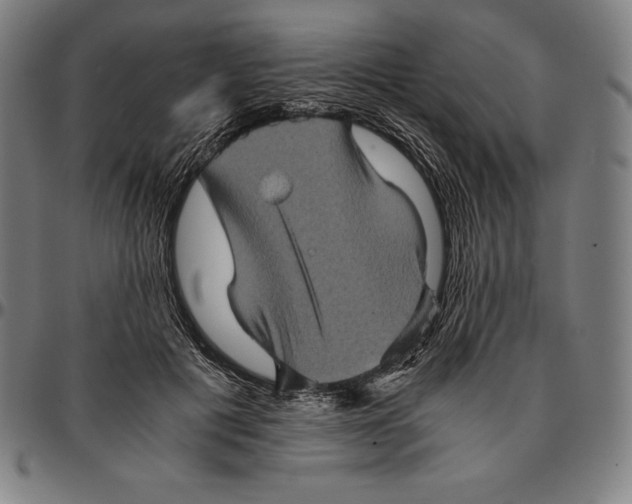 X0000095120601200801041225