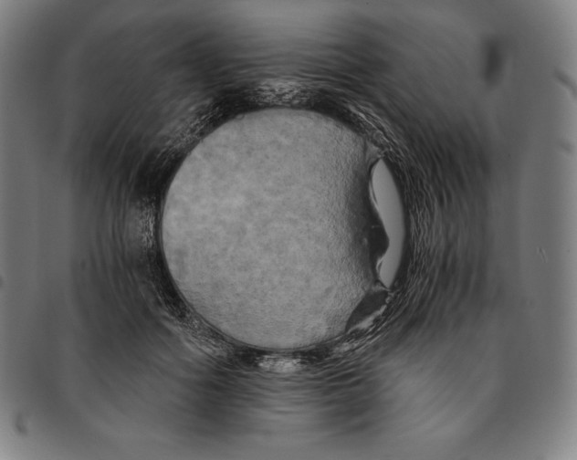 X0000095120602200801041225