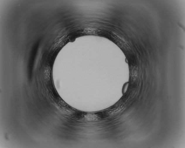 X0000095120603200801041225