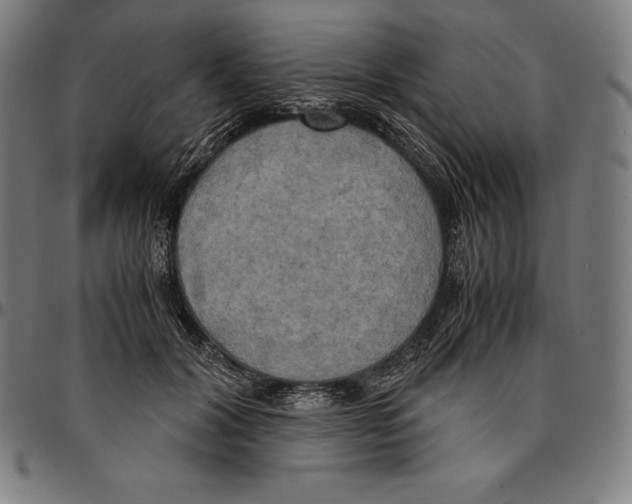 X0000095120604200801041225