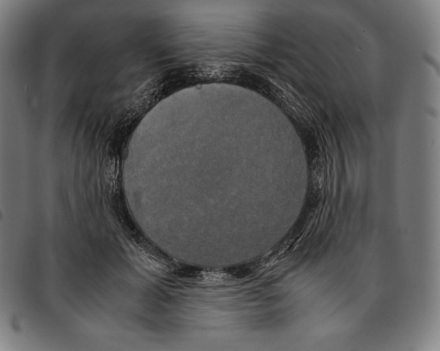 X0000095120605200801041225