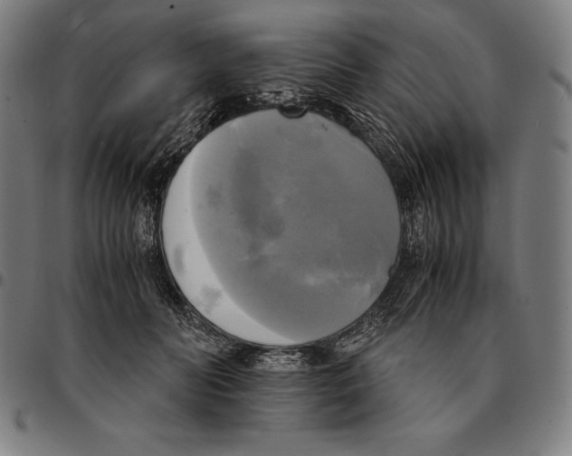 X0000095120606200801041225