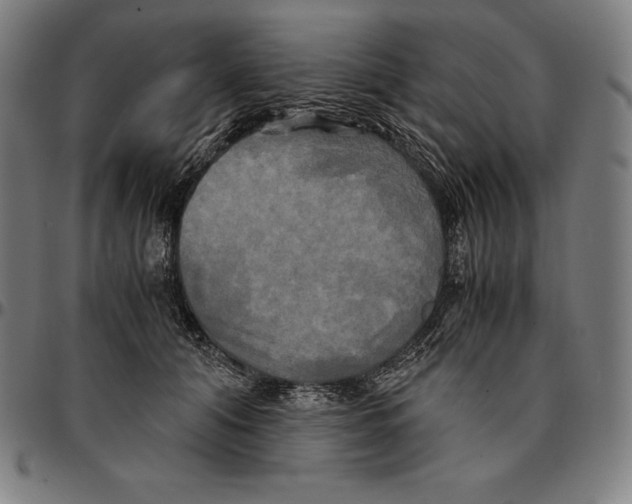 X0000095120608200801041225