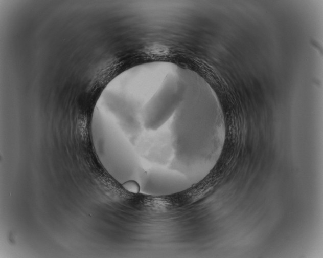 X0000095120610200801041225