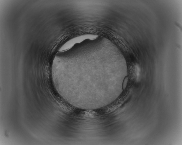 X0000095120612200801041225