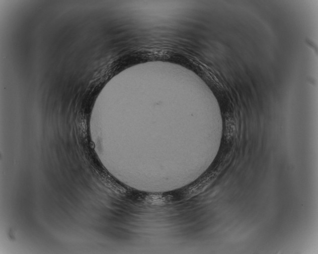 X0000095120613200801041224