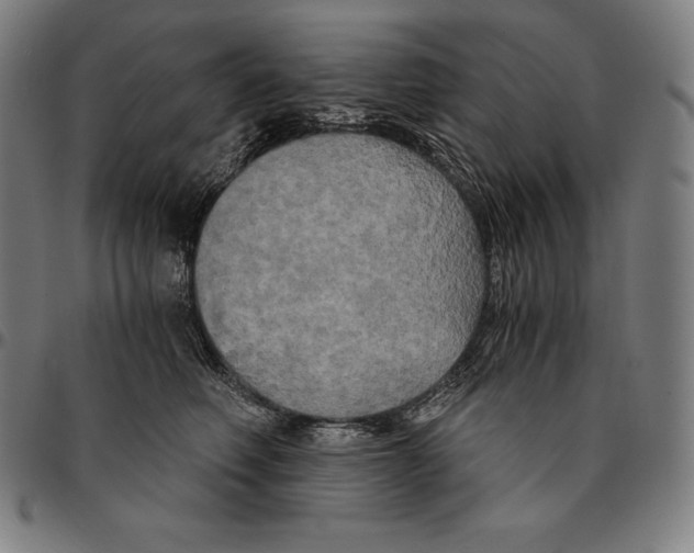 X0000095120614200801041224