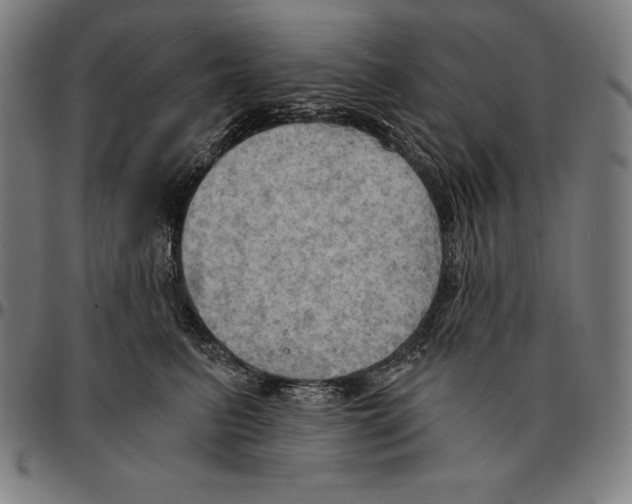 X0000095120615200801041224