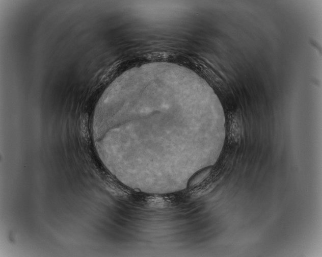 X0000095120616200801041224