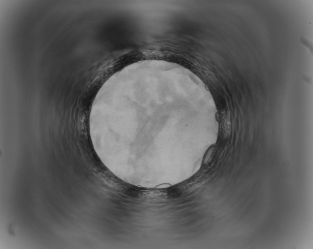 X0000095120619200801041224