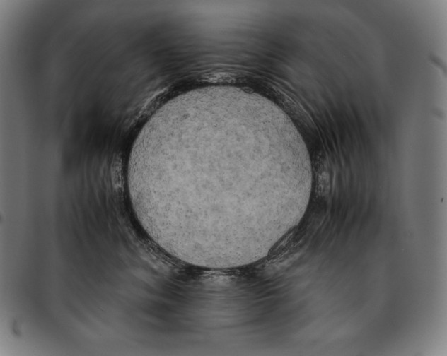 X0000095120620200801041224