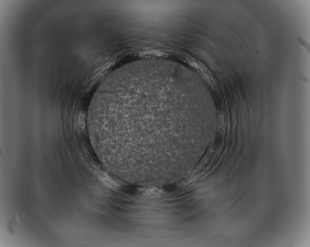 X0000095120621200801041224