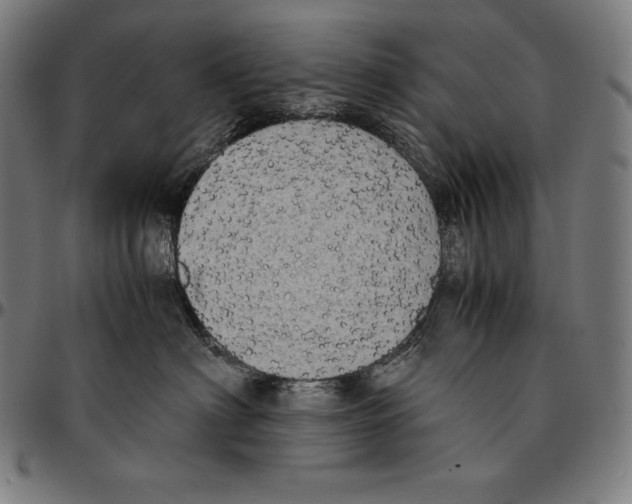 X0000095120622200801041224