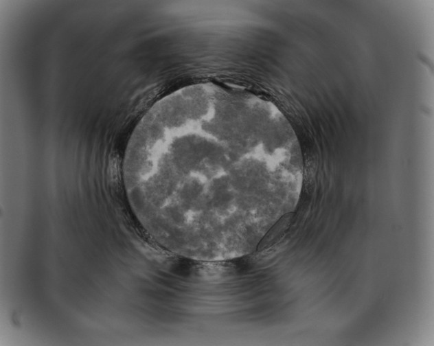 X0000095120623200801041224