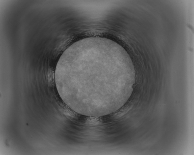 X0000095120624200801041224