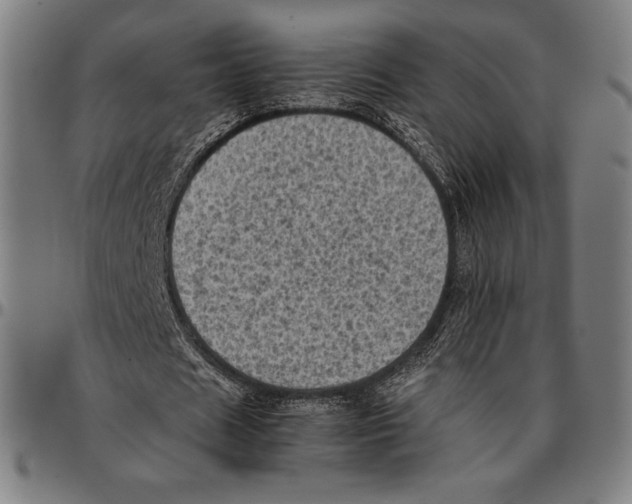 X0000095120625200801041224