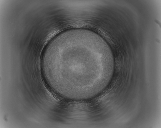 X0000095120626200801041224