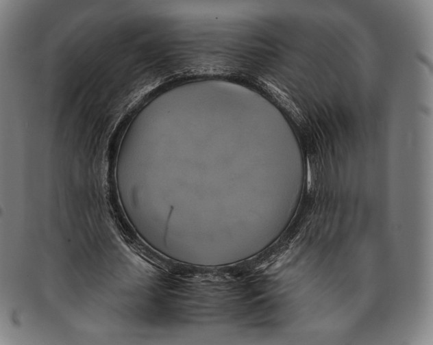 X0000095120627200801041224