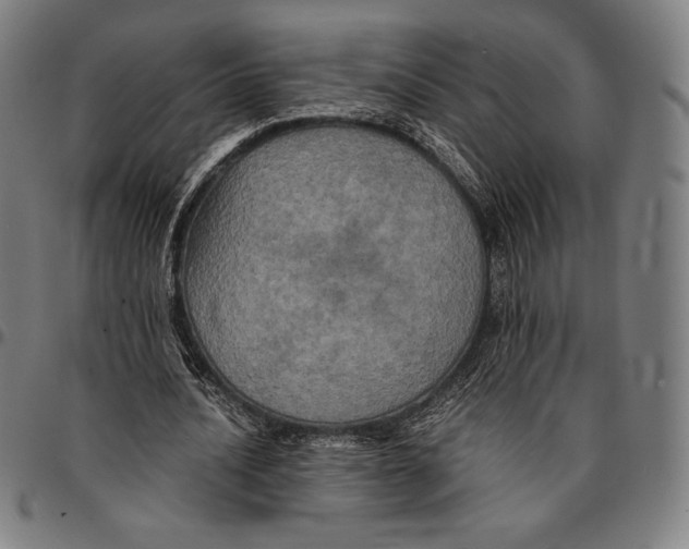 X0000095120628200801041224