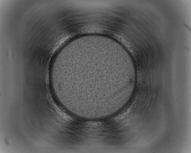 X0000095120629200801041224