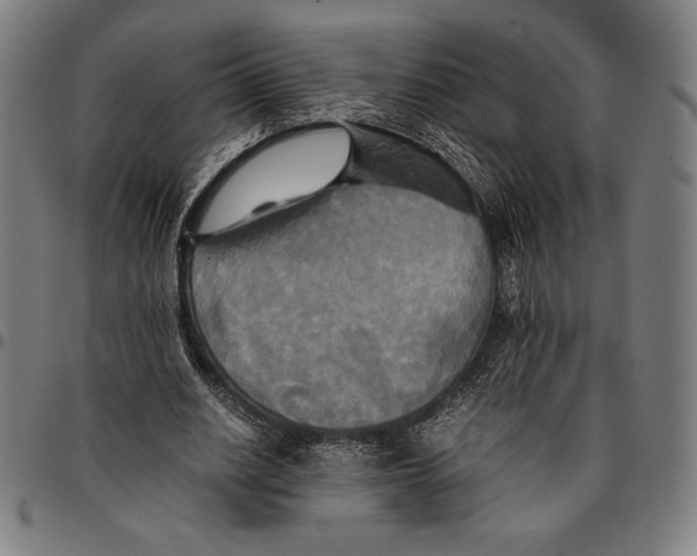 X0000095120630200801041224